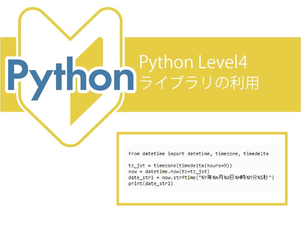 python-level4